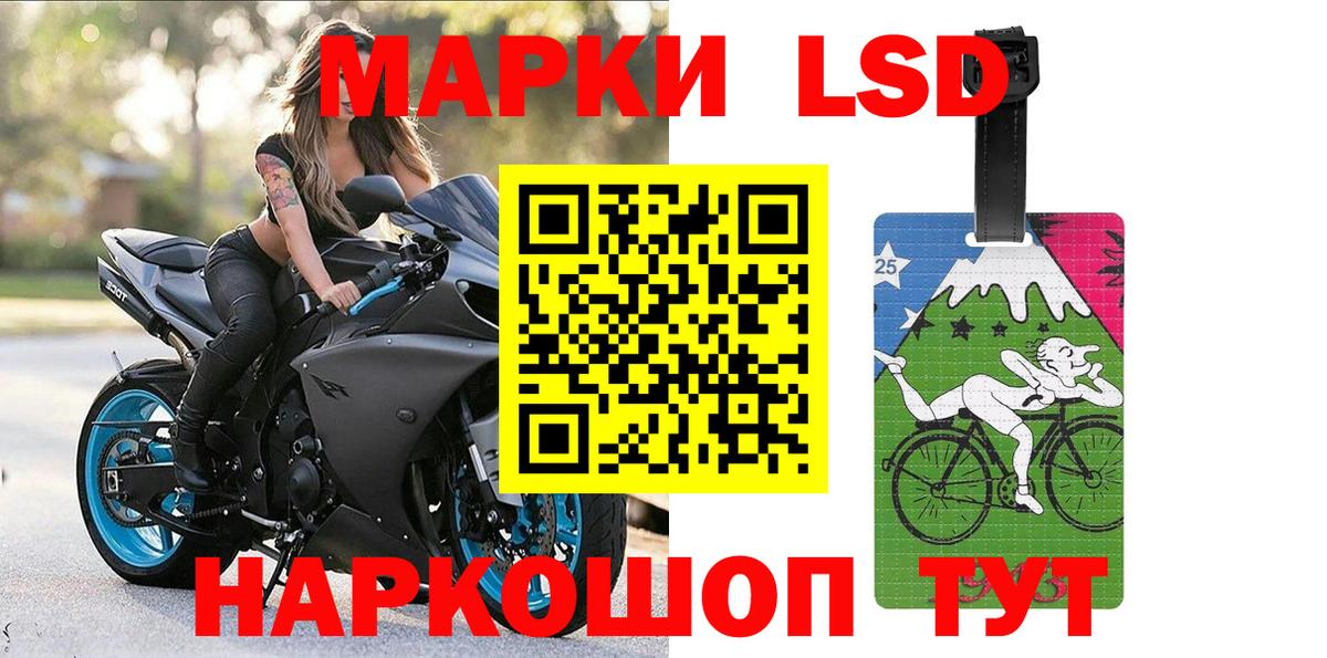 Марки NBOMe 1,5мг  Вход с VPN  Бердск  Марки NBOMe 1,5мг 