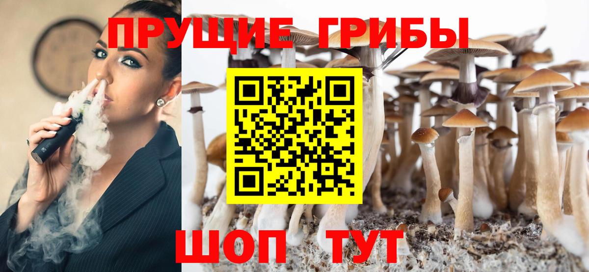 Галлюциногенные грибы Magic Shrooms  Псилоцибиновые грибы GOLDEN TEACHER  Бердск  Вход с VPN 