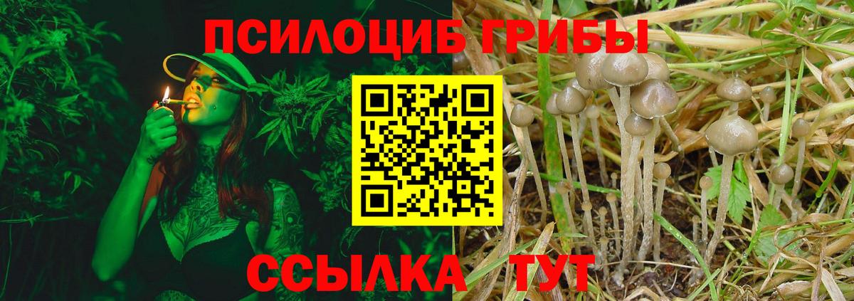 Псилоцибиновые грибы прущие грибы Бердск